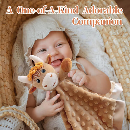 2 Pcs Loveys for Babies, Soft Baby Security Blanket Lovies for Babies, Stuffed Animals Blankie for