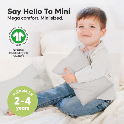 Mini Toddler Pillow with Pillowcase - 9x13 My Little Dreamy Travel Kids Pillow for Sleeping