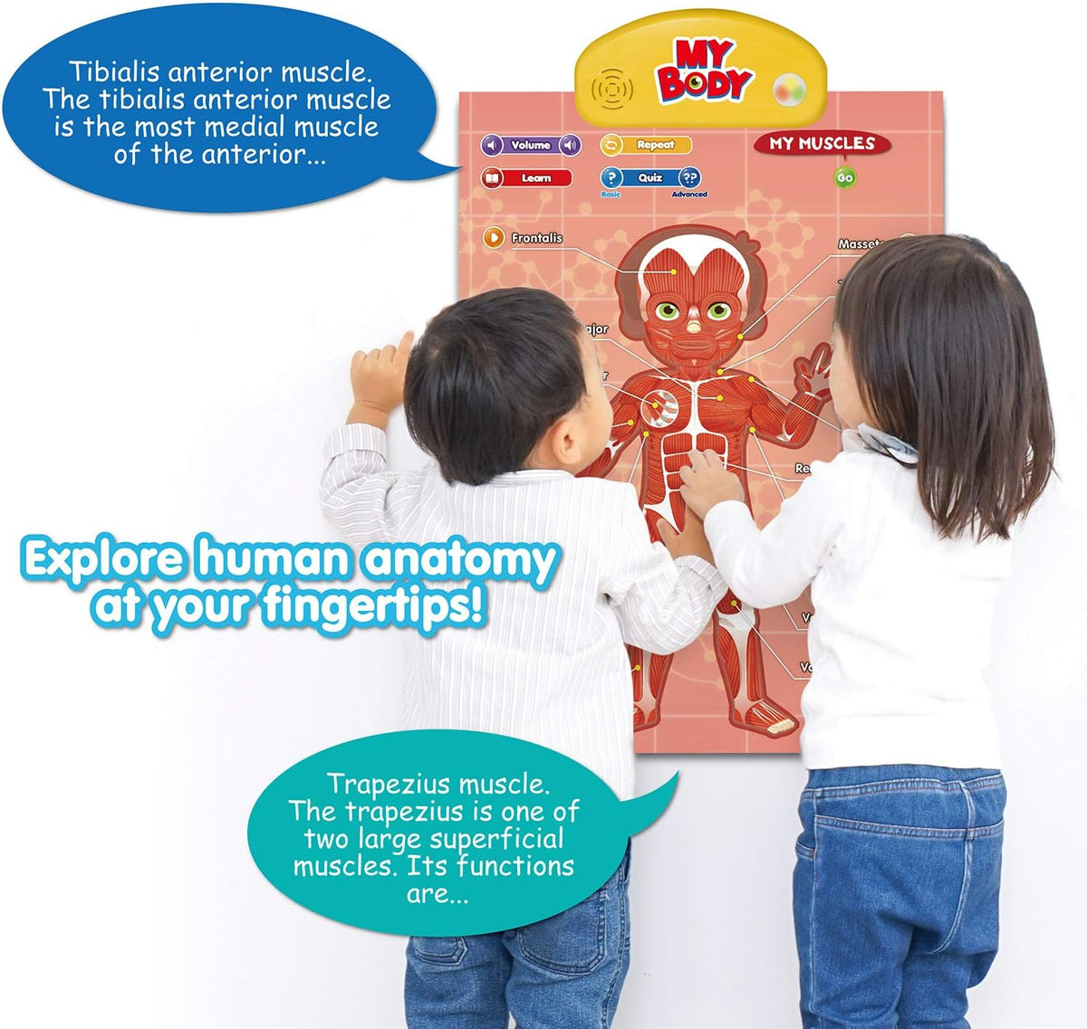 BEST LEARNING i-Poster My Body - Interactive Educational Human Anatomy Talking Game Toy | Learn