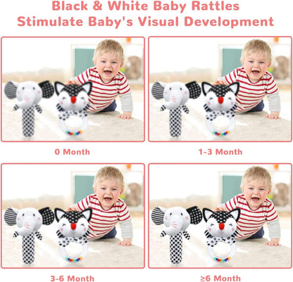 Baby Rattles 0-6 Months Baby Toys 0-6 Months, Newborn Toys 0 3 Months Brain Development, Infant