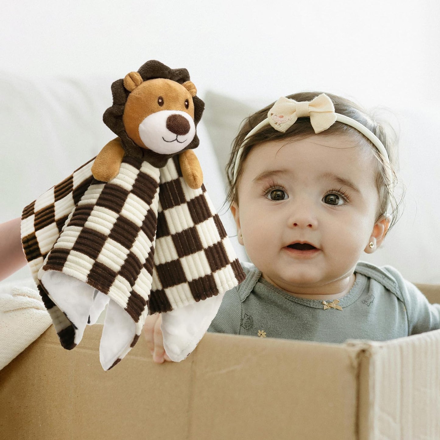 Baby Lovey Blanket for Boys Girls Super Soft Checkerboard Gingham with Minky Dot Fabric Backing