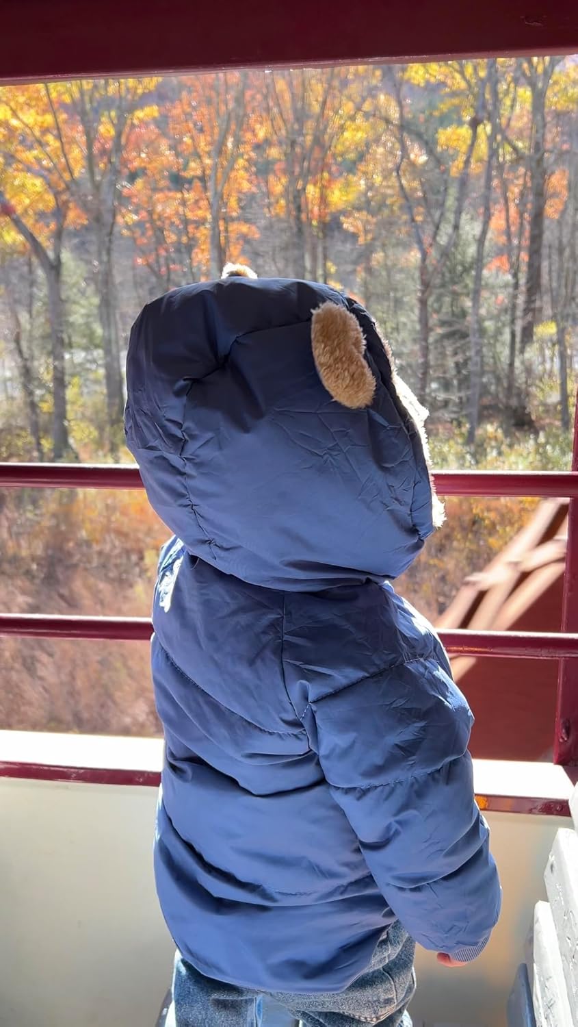 TUONROAD Baby Girls Coats for 6 Months-5 Years Toddlers Boy Winter Jacket Warm Bear Hooded Outdoor