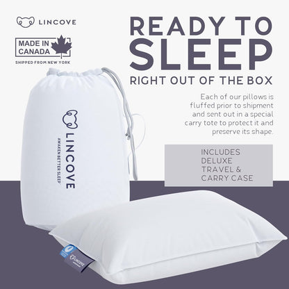 Lincove Canadian Down Toddler Pillow for Sleeping - Perfect for Kids Travel Pillow, Nap Time