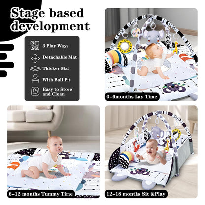 TFDER Baby Gym Play Mat, 8-in-1 Tummy Time Mat & Activity Gym, Washable Ball Pit, Infant Play Mat