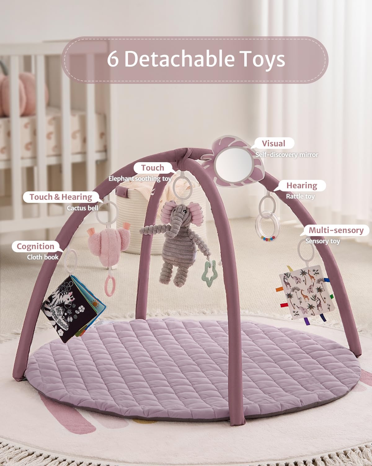 Blissful Diary Baby Play Gym Mat, Tummy Time Activity Mat with 6 Detachable Toys for Stage-Based