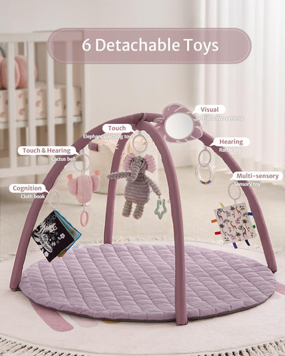Blissful Diary Baby Play Gym Mat, Tummy Time Activity Mat with 6 Detachable Toys for Stage-Based