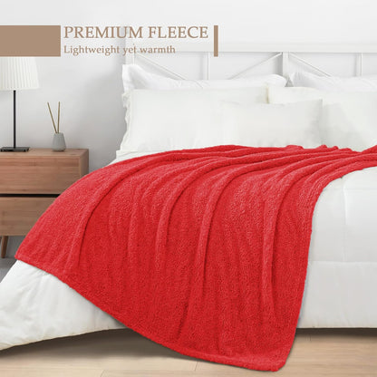 Exclusivo Mezcla Fleece Throw Blanket for Couch Sofa, Soft Warm and Fluffy Blankets for Women Men