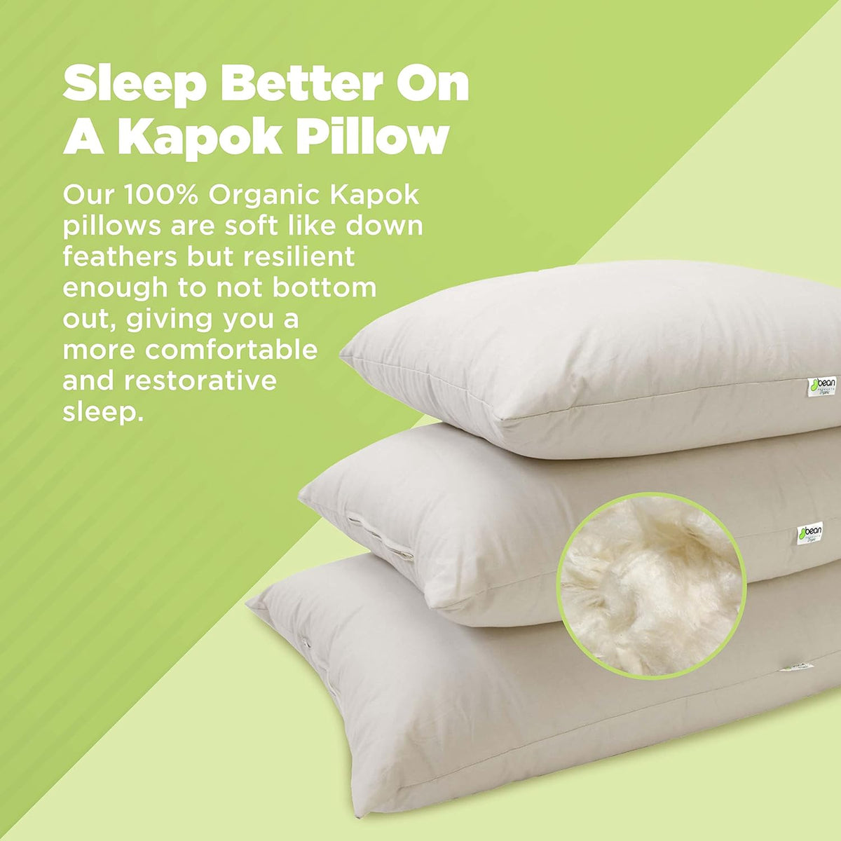 Bean Products Standard Organic Kapok Pillow + Natural Org Case - 20" x 26" - Organic Cotton