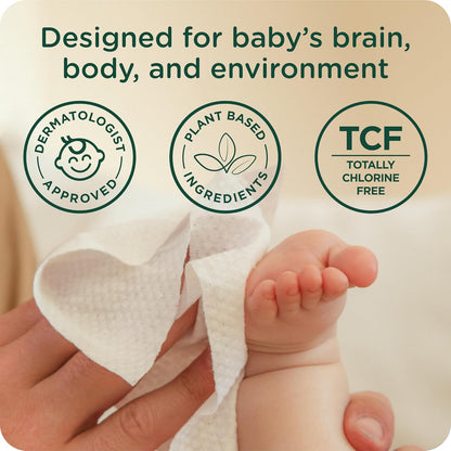 Our Wet Wipes | EWG Verified Safe | 100% Water & Plant Based | Unscented & Safe for Sensitive Skin
