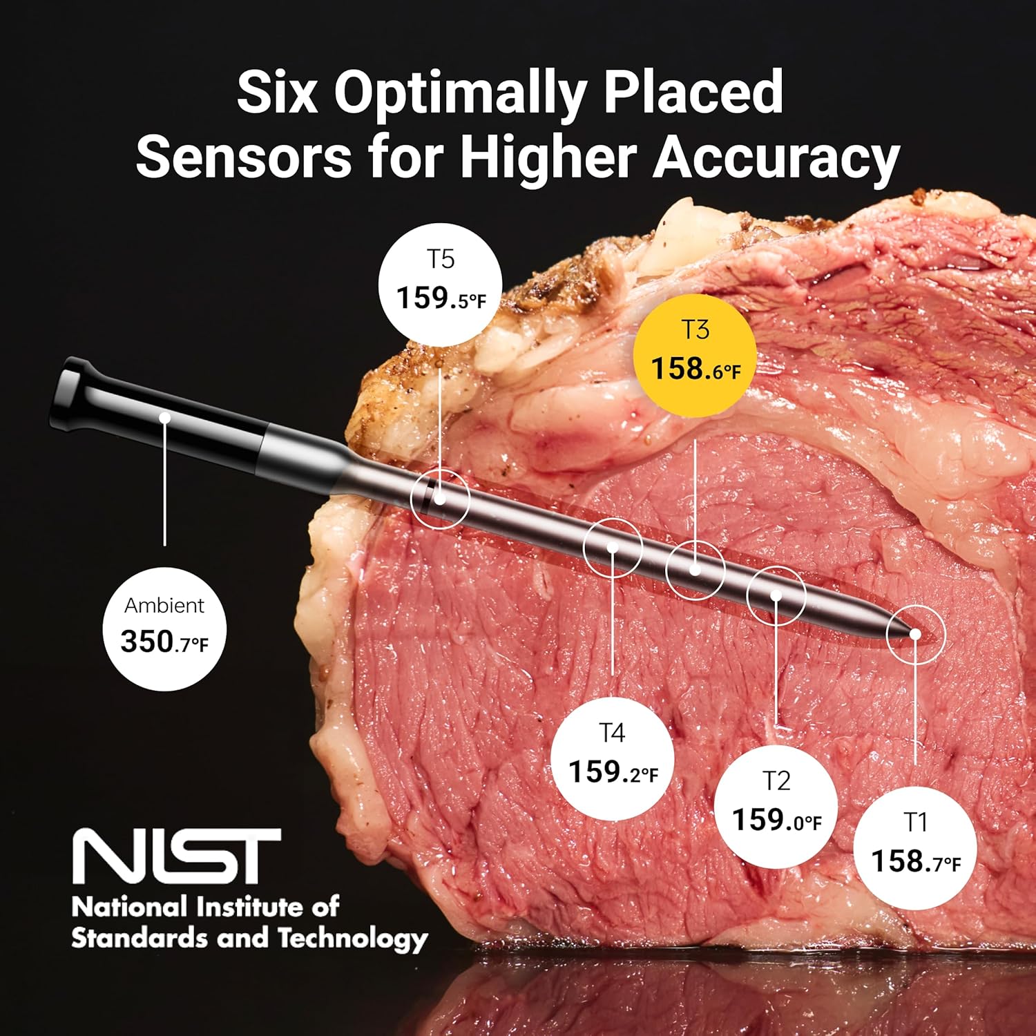 Wireless Bluetooth Smart Meat Thermometer: Standalone Base, Smart WiFi Thermometer with Sub-1G, 6