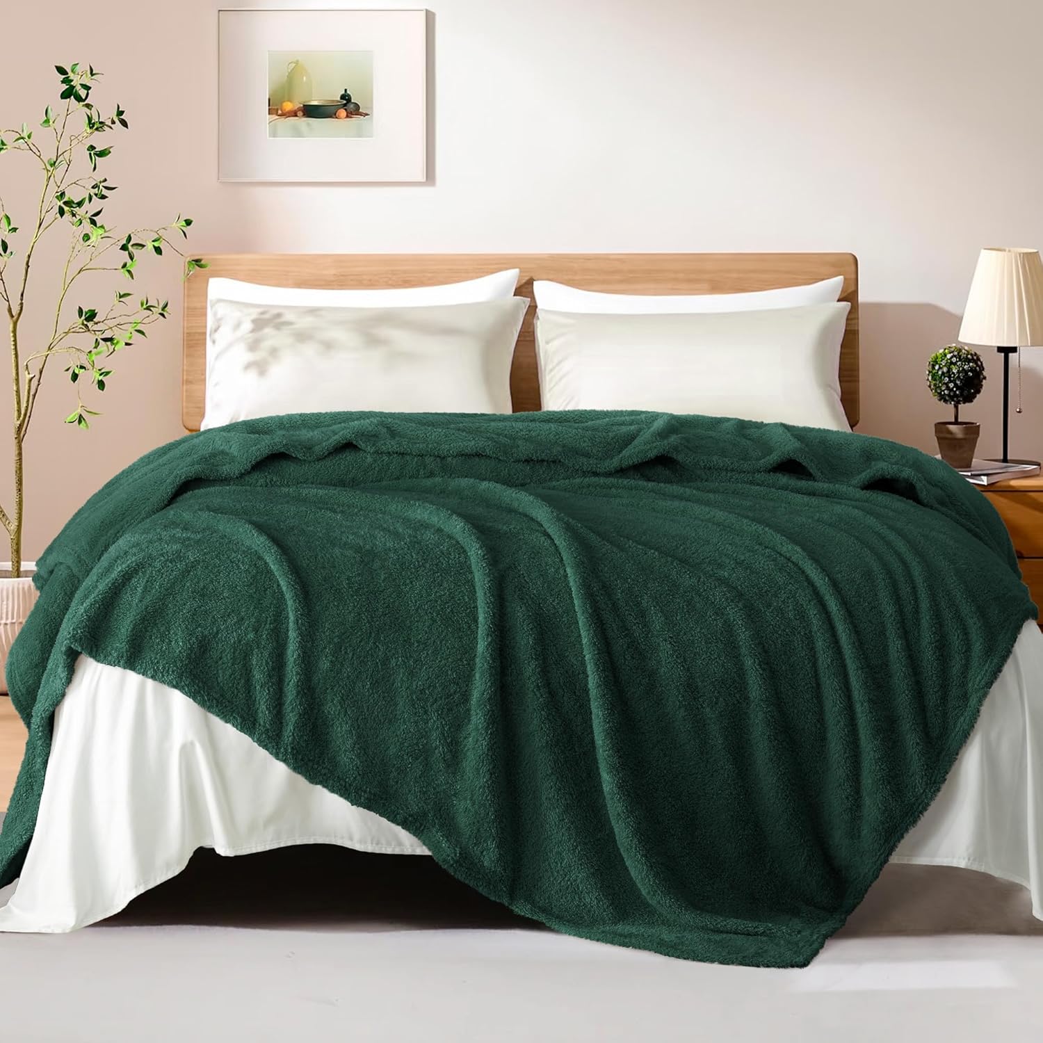 Exclusivo Mezcla Twin Blanket for Bed, Soft and Cozy Blankets for Women Men Girls Kids, Suitable