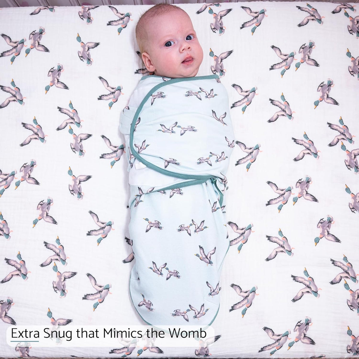LollyBanks Baby Swaddles, 100% Organic Cotton Swaddle for Newborns Boys and Girls, 3-6 Months