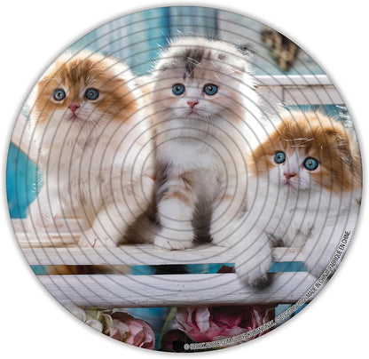 Spin Flip Puzzle - Puppies & Kittens - Spin it, Flip it, solve it! for Those who love brain