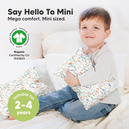 Mini Toddler Pillow with Pillowcase - 9x13 My Little Dreamy Travel Kids Pillow for Sleeping