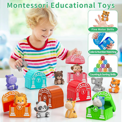 Learning Toy for Toddlers 1 2 3 Year Old, Montessori Educational Counting, Matching & Sorting