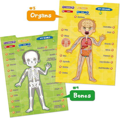 BEST LEARNING i-Poster My Body - Interactive Educational Human Anatomy Talking Game Toy | Learn
