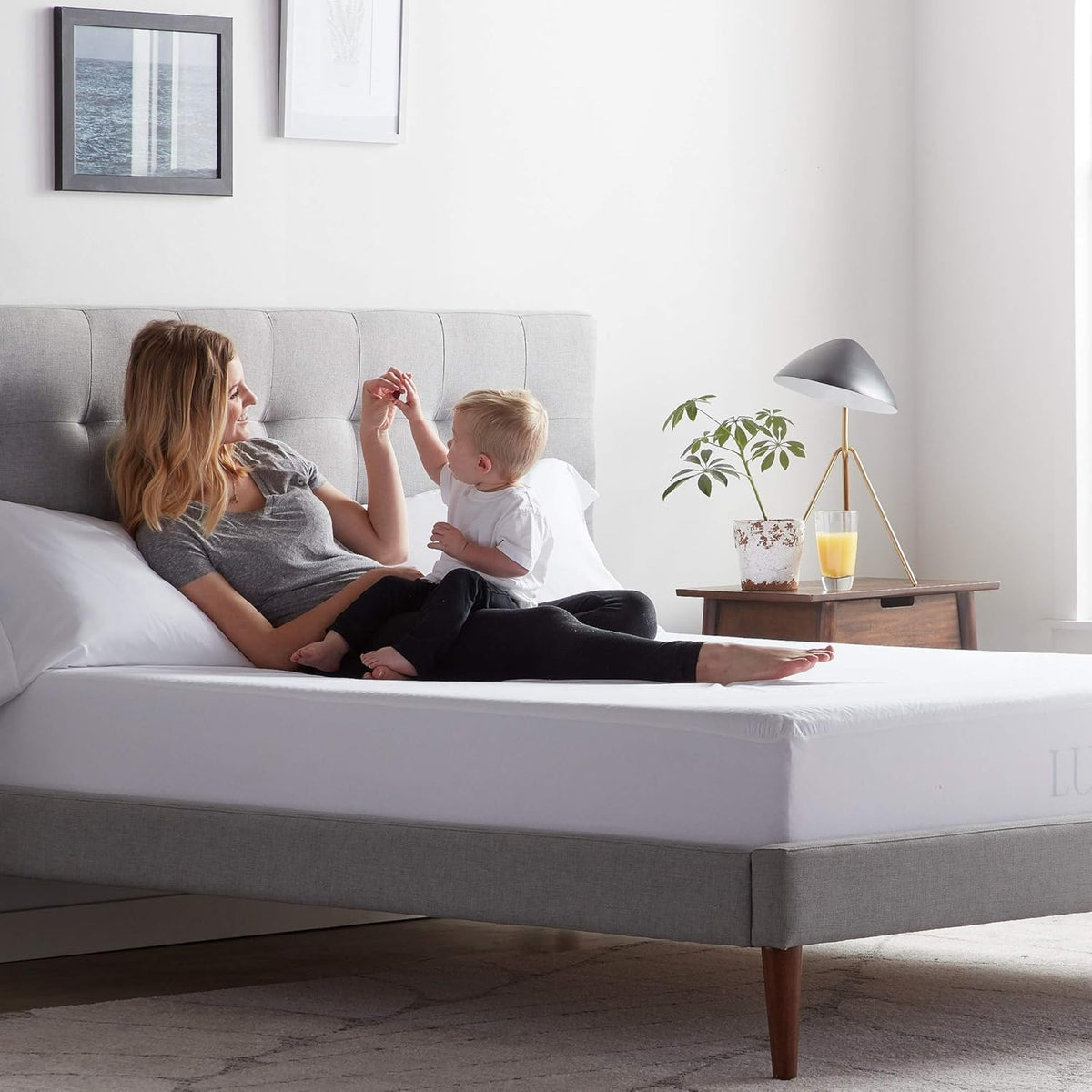 LUCID Premium Rayon from Bamboo Jersey Mattress Protector | California King Size Waterproof