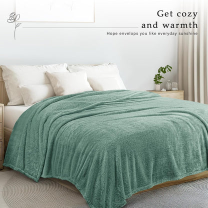 Exclusivo Mezcla Queen Size Flannel Fleece Blanket, Super Soft Velvet Plush Bed Blanket, Fuzzy Cozy