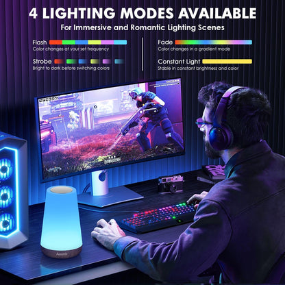 Night Light, Dimmable Touch Lamp for Bedroom, 13 RGB Colors & 5 Brightness, Portable Rechargeable