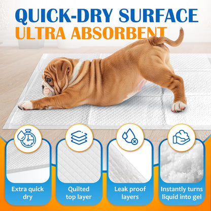 Paws & Claws Premium Disposable Dog Pee Pads, Large 28"x30", 40-Count – 6-Layer Leak-Proof, (Holds