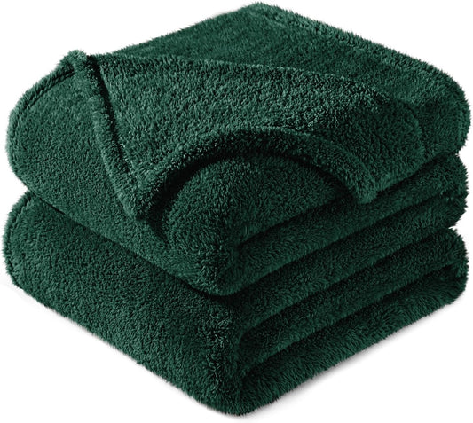 Exclusivo Mezcla Twin Size Flannel Fleece Blanket, Super Soft Velvet Plush Bed Blanket, Fuzzy Cozy