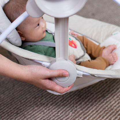 Ingenuity Soothe 'n Delight Compact Portable 6-Speed Plush Baby Swing with Music, Folds Easy, 0-9