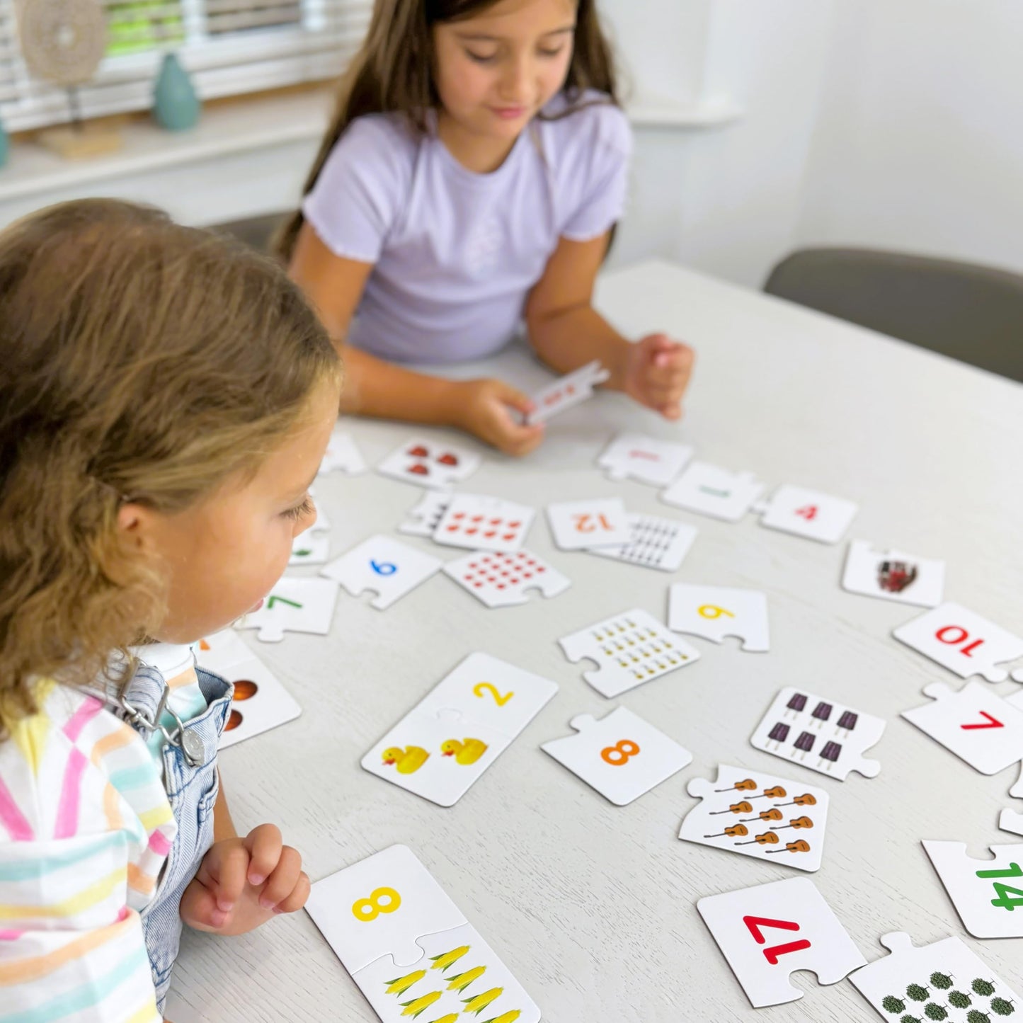 The Learning Journey: Match It! - Counting - 30 Piece Self-Correcting Number & Learn to Count