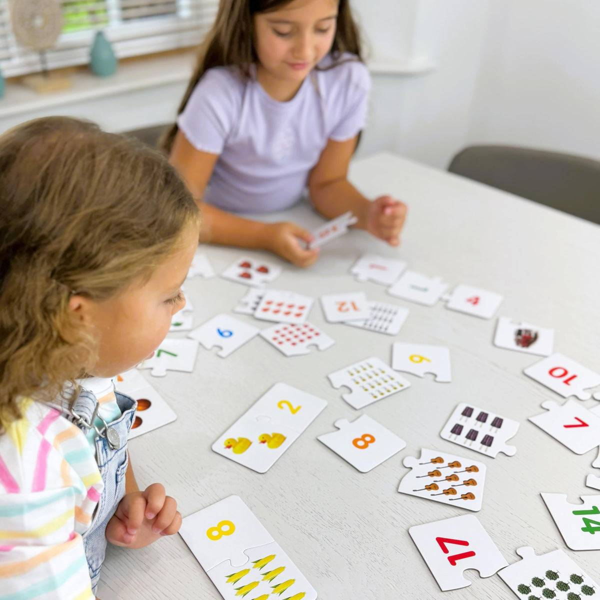The Learning Journey: Match It! - Counting - 30 Piece Self-Correcting Number & Learn to Count