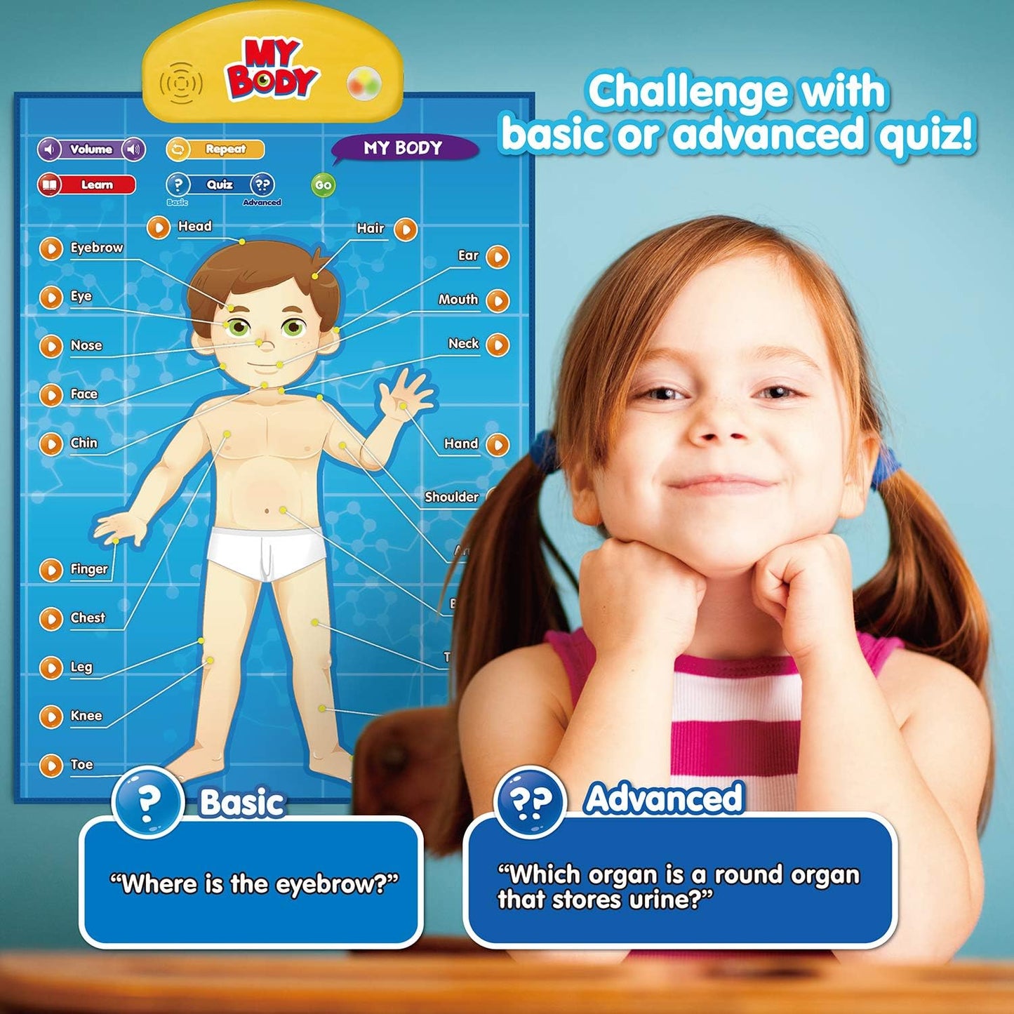 BEST LEARNING i-Poster My Body - Interactive Educational Human Anatomy Talking Game Toy | Learn