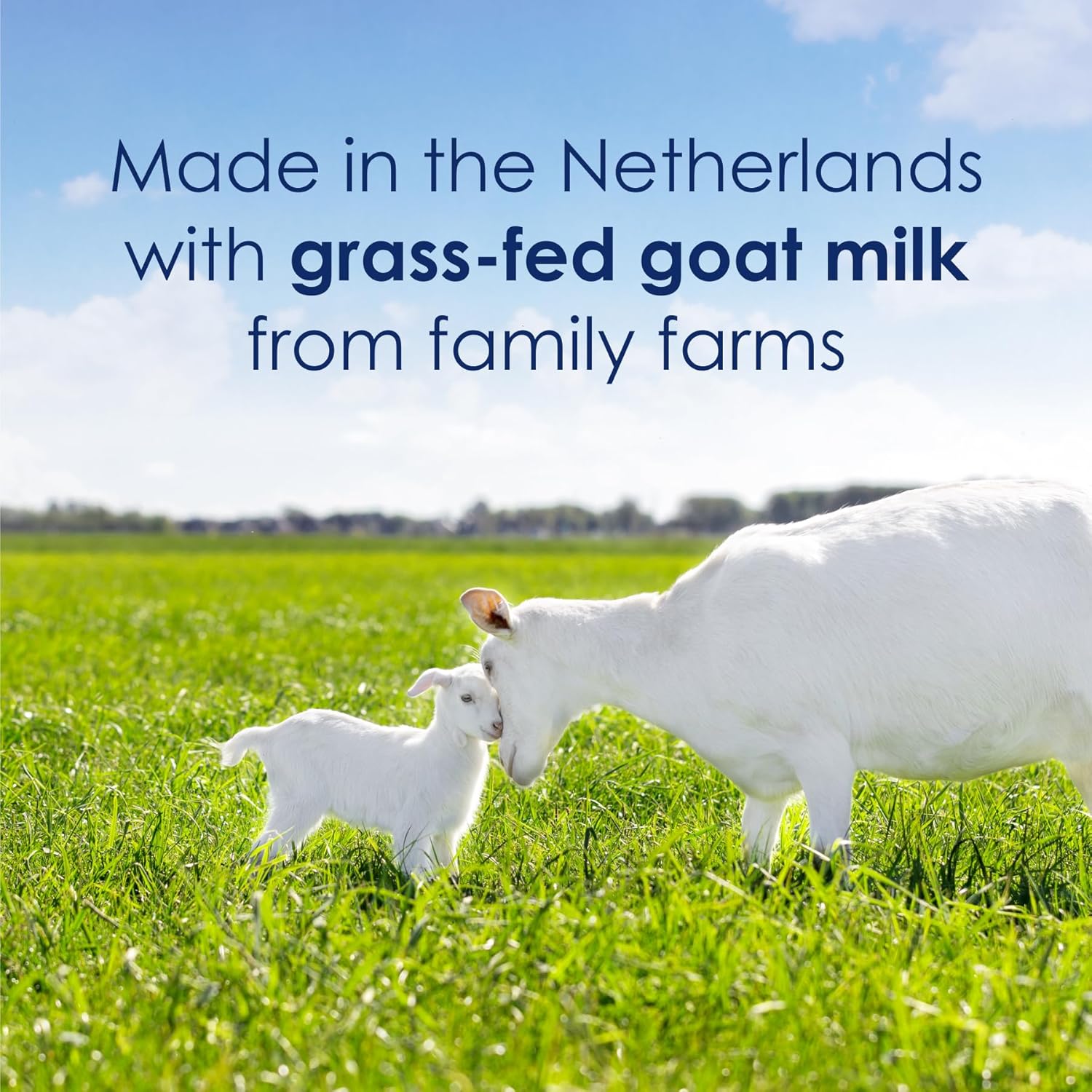 Kabrita Goat Milk Toddler Nutrition, 12-24 Months - Easy to Digest, Contains Vitamin D, Calcium