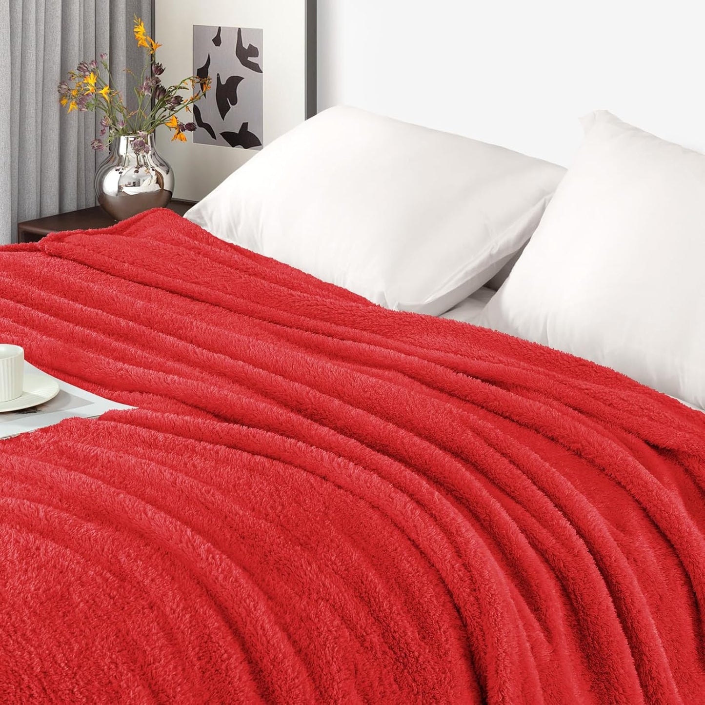 Exclusivo Mezcla Fleece Throw Blanket for Couch Sofa, Soft Warm and Fluffy Blankets for Women Men