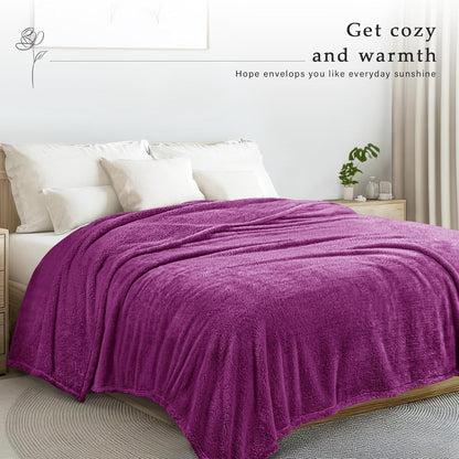 Exclusivo Mezcla King Size Flannel Fleece Blanket, Super Soft Velvet Plush Bed Blanket, Fuzzy Cozy