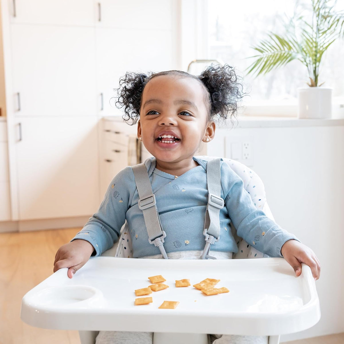 Regalo High Chair with Jelly Bean Seat Pad for Babies and Toddlers, Award Winning Brand, Removable