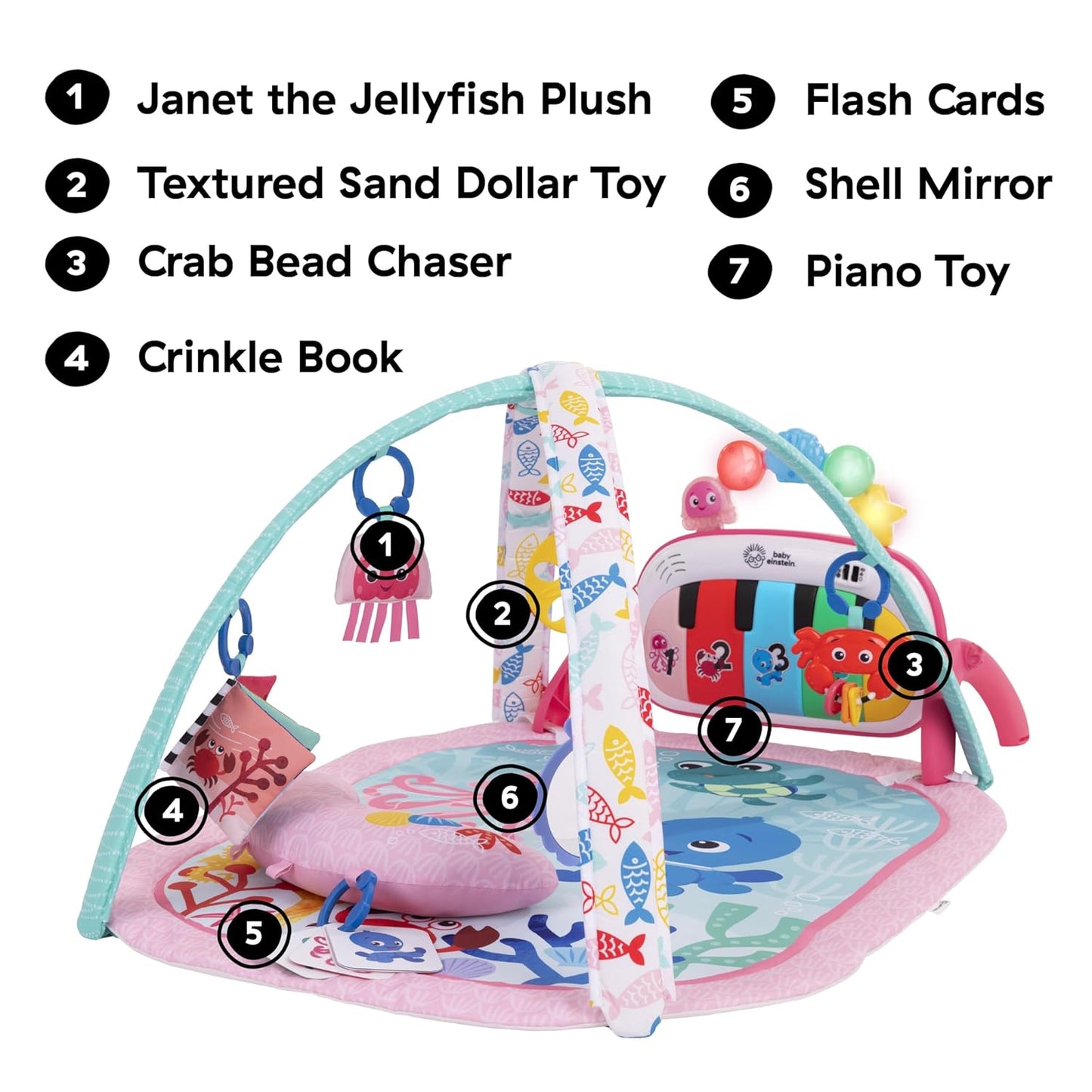 Baby Einstein Ocean Explorers 4-in-1 Kickin Tunes Jellyfish Jamboree Music & Language Discovery