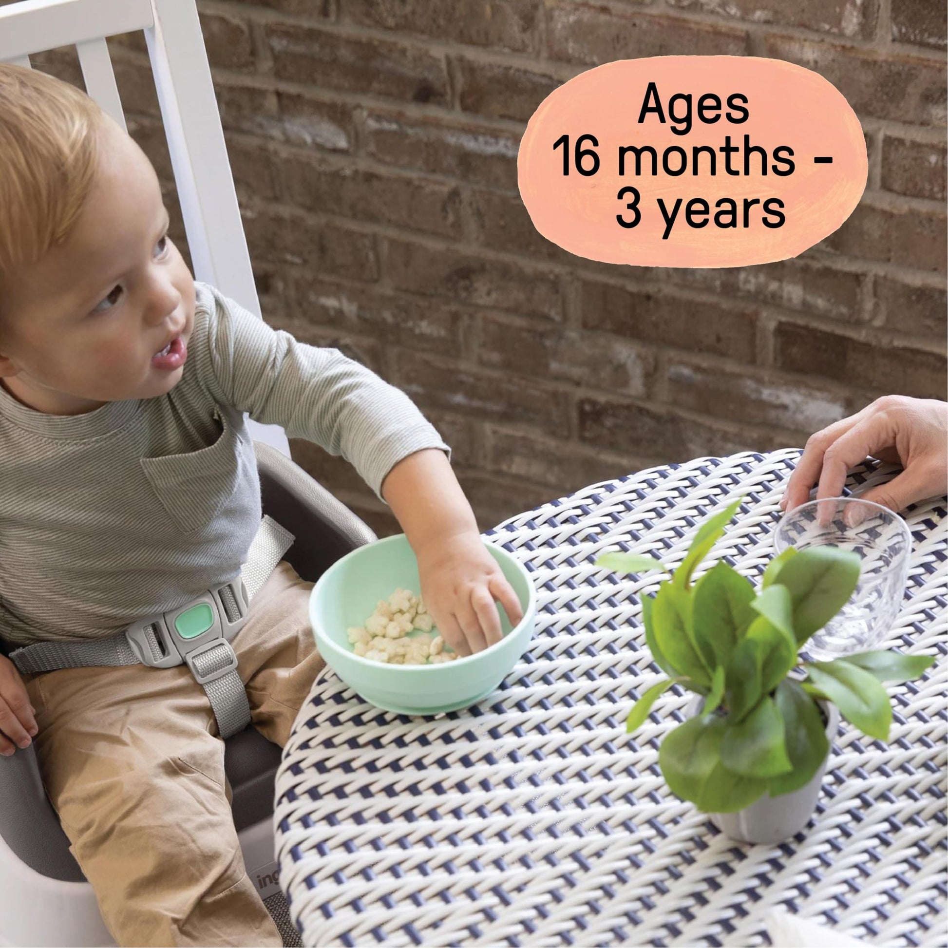 Ingenuity SmartClean Toddler Booster Seat for Kitchen Chair – Lightweight for on-the-go