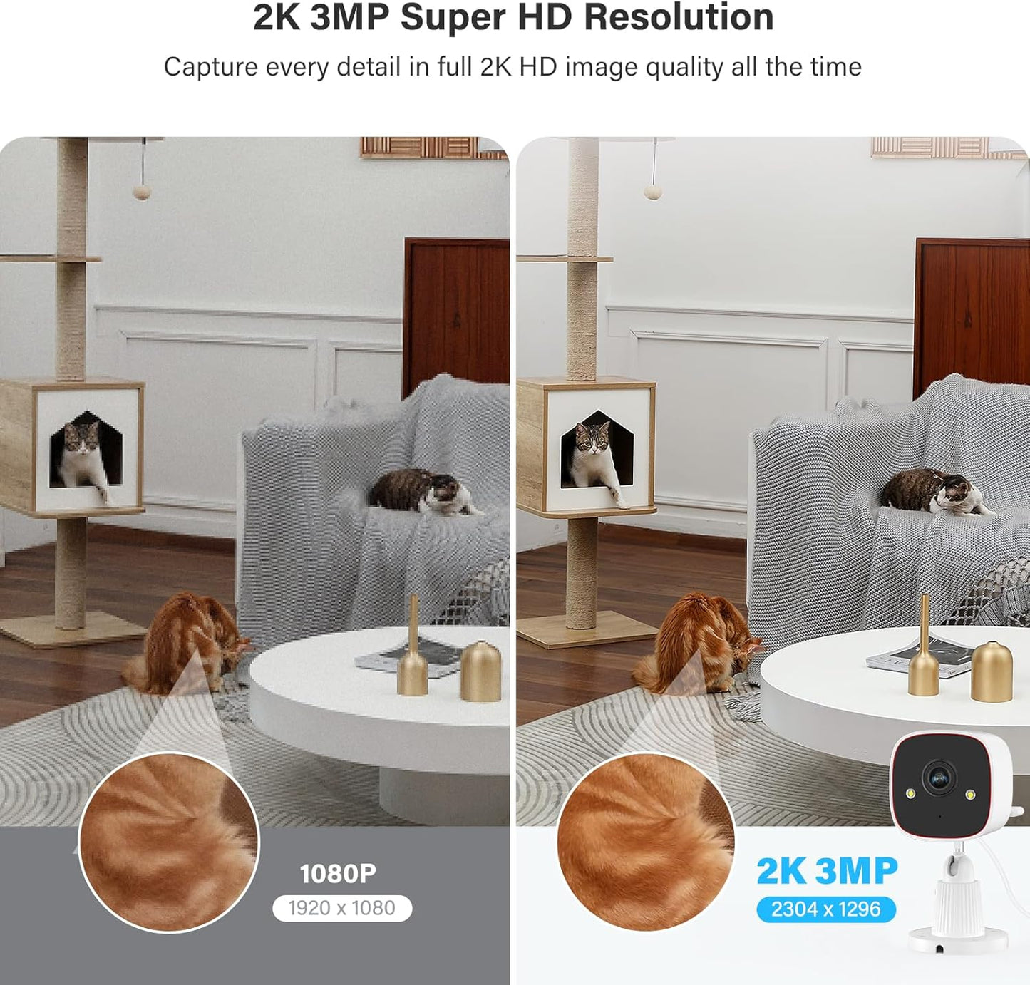 Jennov Outdoor/Indoor Security Cameras 5Ghz/2.4Ghz, 2K HD WiFi/Color Night Vision/Motion Detection