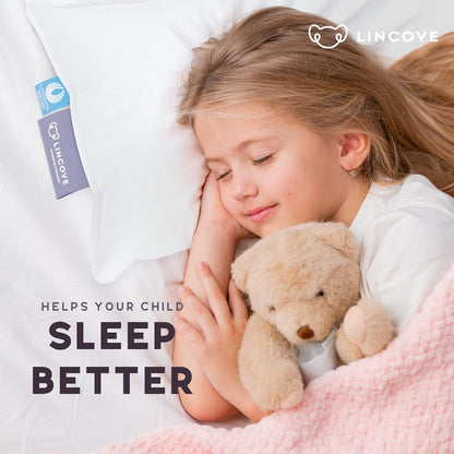 Lincove Canadian Down Toddler Pillow for Sleeping - Perfect for Kids Travel Pillow, Nap Time