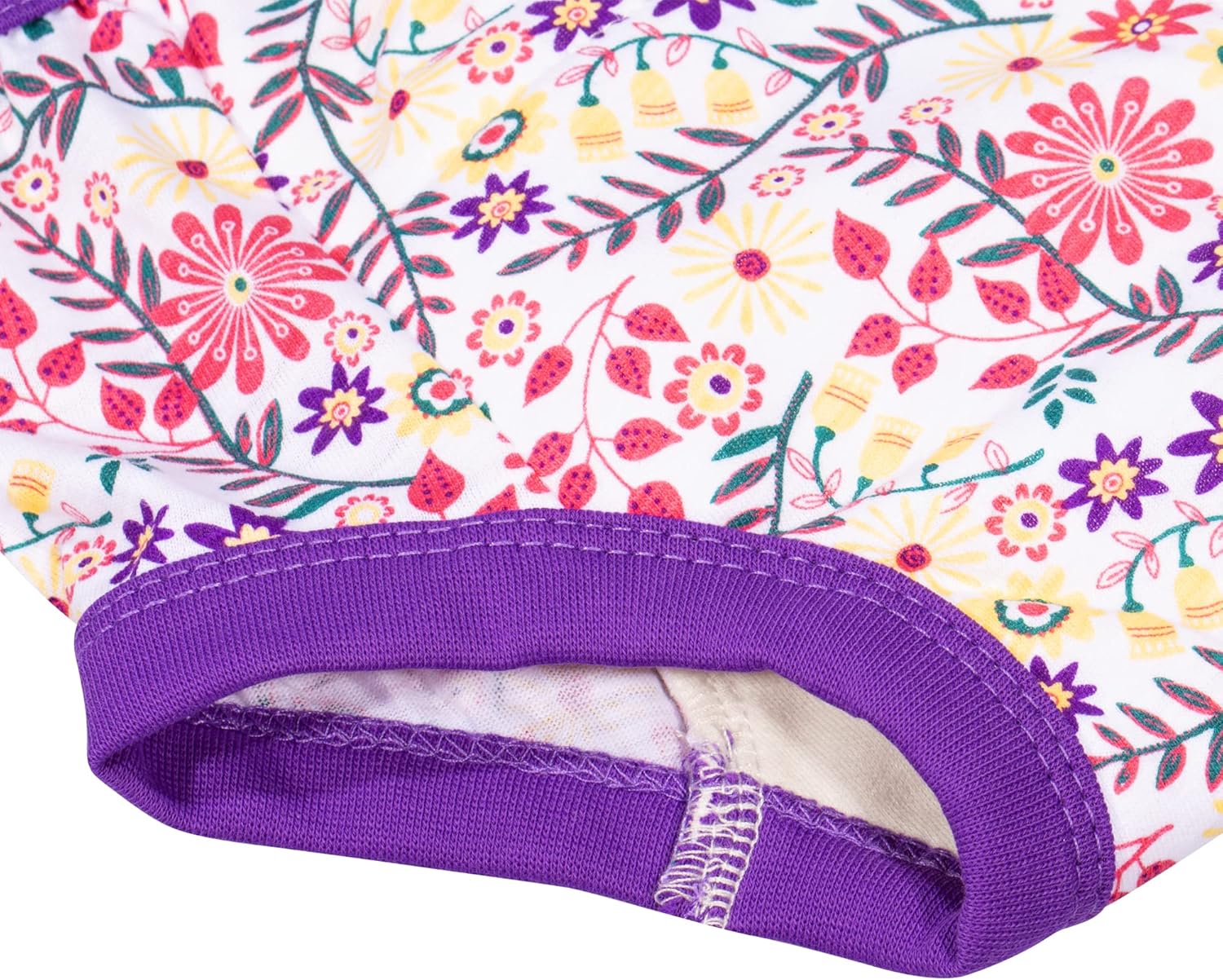 BIG ELEPHANT Potty Training Underwear - 10 Pack, 100% Cotton Absorbent Unisex Toddler Pee Pants for