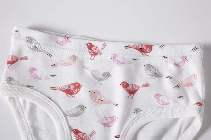 Cadidi Dinos Little Girls' Soft Cotton Underwear Kids Cool Breathable Comfort Panty Briefs Toddler
