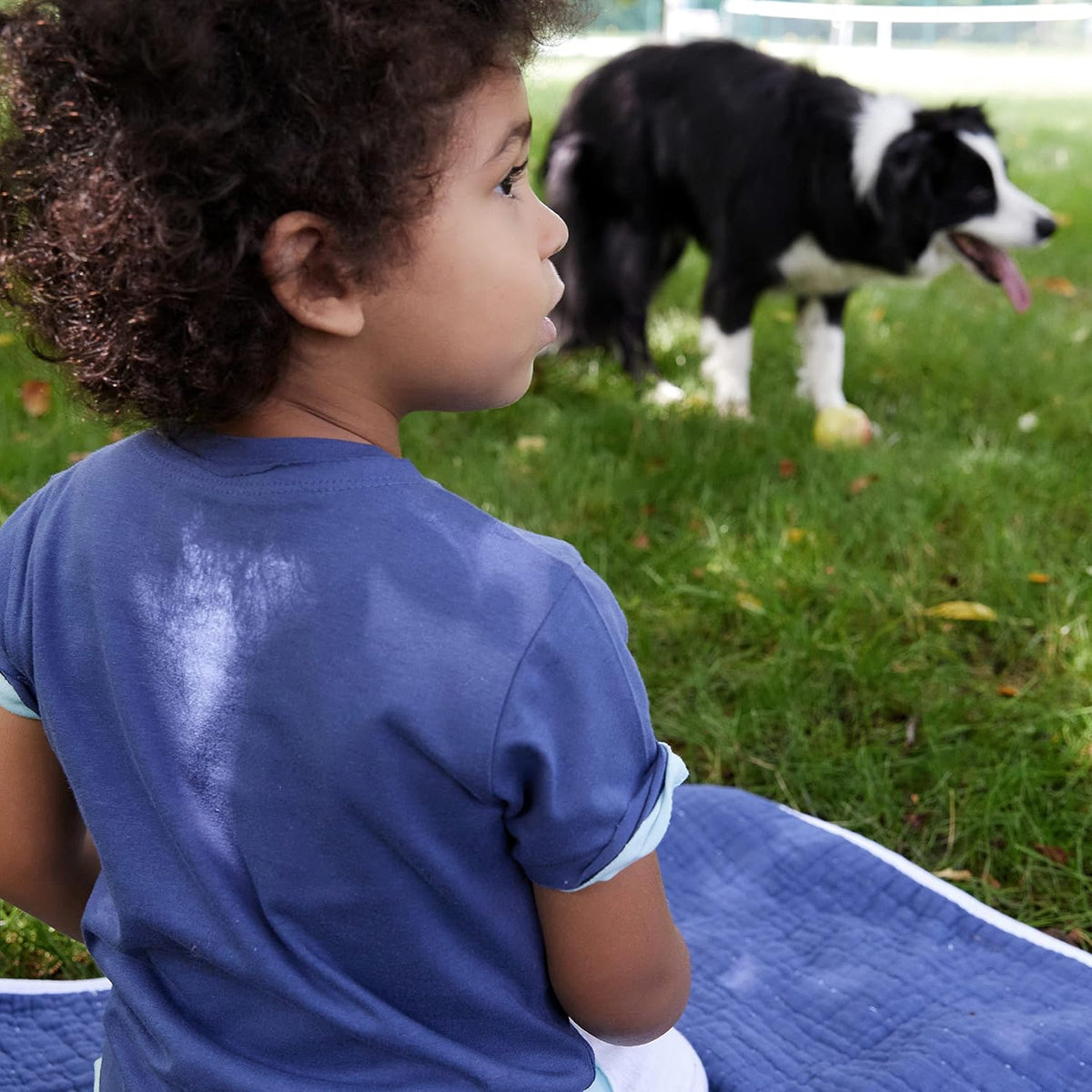 HonestBaby 10-Pack Short Sleeve T-shirts 100% Organic Cotton Baby, Toddler, Little Kids, Boys