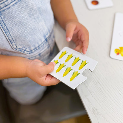 The Learning Journey: Match It! - Counting - 30 Piece Self-Correcting Number & Learn to Count