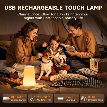 Night Light for Baby Nursery, 13 Colors Changing Touch Dimmable Night Lamp with Timer, Rechargeable