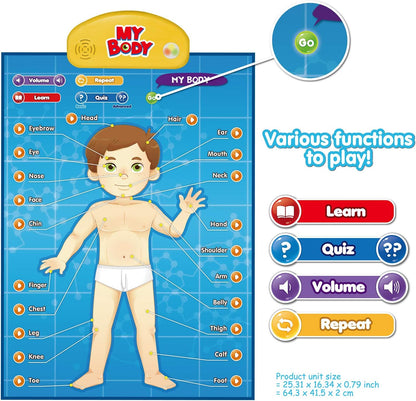 BEST LEARNING i-Poster My Body - Interactive Educational Human Anatomy Talking Game Toy | Learn