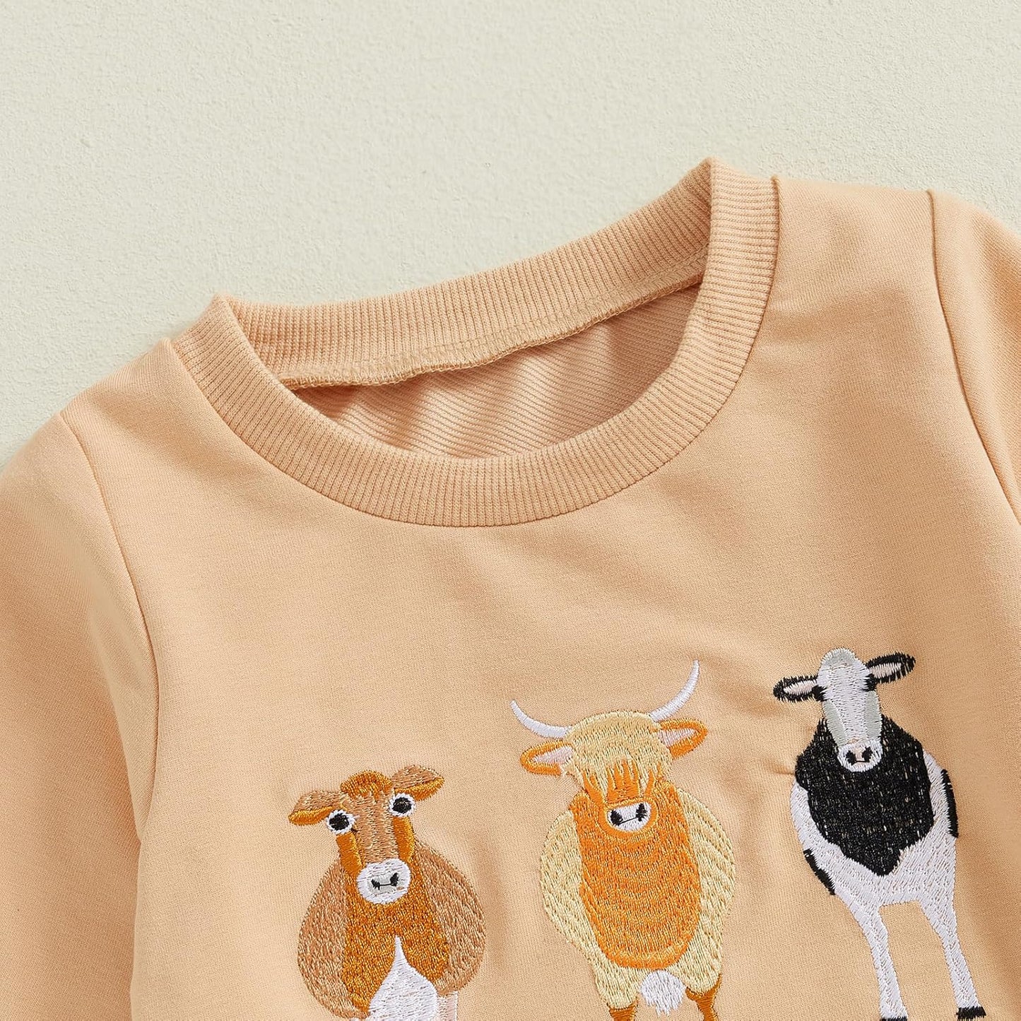 WZTYYDS Toddler Boy Clothes 2T 3T 4T 5T Fall Outfits Baby Pullover & Pants Sets Kids Winter 2Pcs