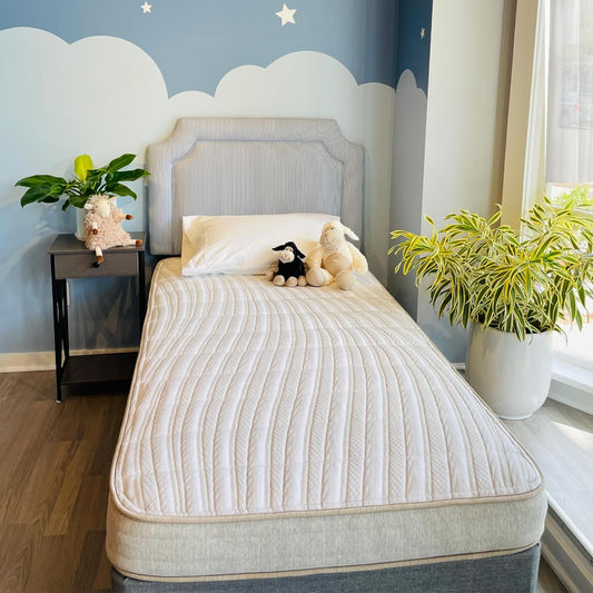 Ethical Mattress CO 6" Kid’s Mattress, Toxin-Free, Made in The USA with Organic Cotton, Wool, Latex