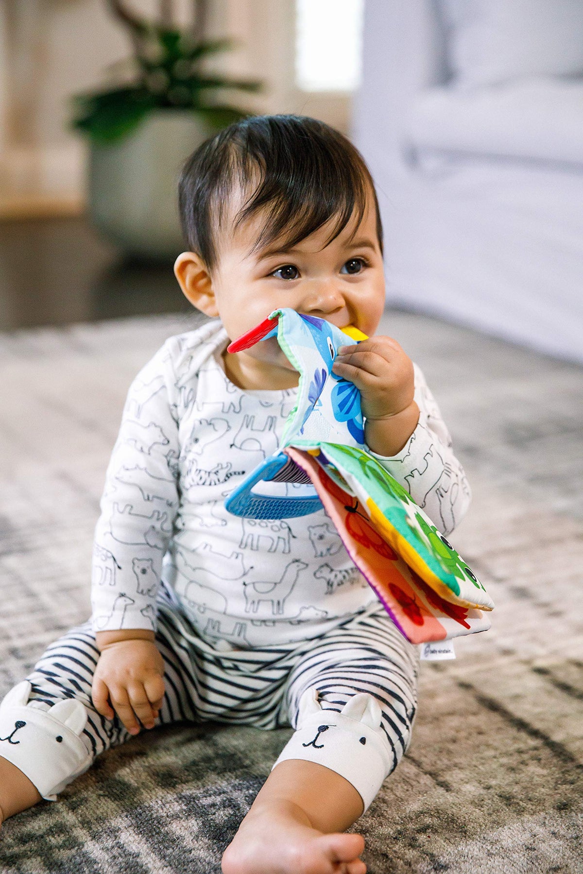 Baby Einstein Curious Explorers Teether Book Take-Along Toy, Ages Newborn +, Multicolored
