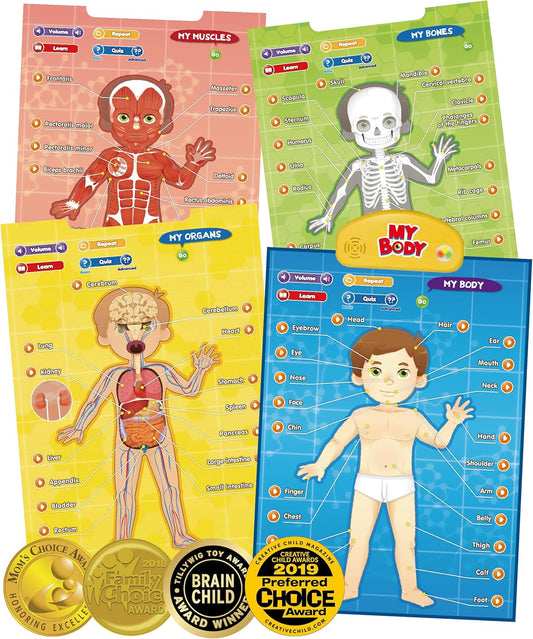 BEST LEARNING i-Poster My Body - Interactive Educational Human Anatomy Talking Game Toy | Learn